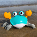 Caranguejo Divertido Big Crab Bath Toy Clockwork