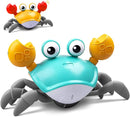Caranguejo Divertido Big Crab Bath Toy Clockwork