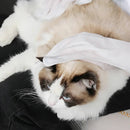 Luva Umedecida com Vitamina E – Banho a Seco e Pele Hidratada ForPatas™