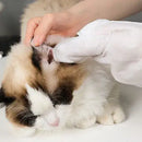 Luva Umedecida com Vitamina E – Banho a Seco e Pele Hidratada ForPatas™